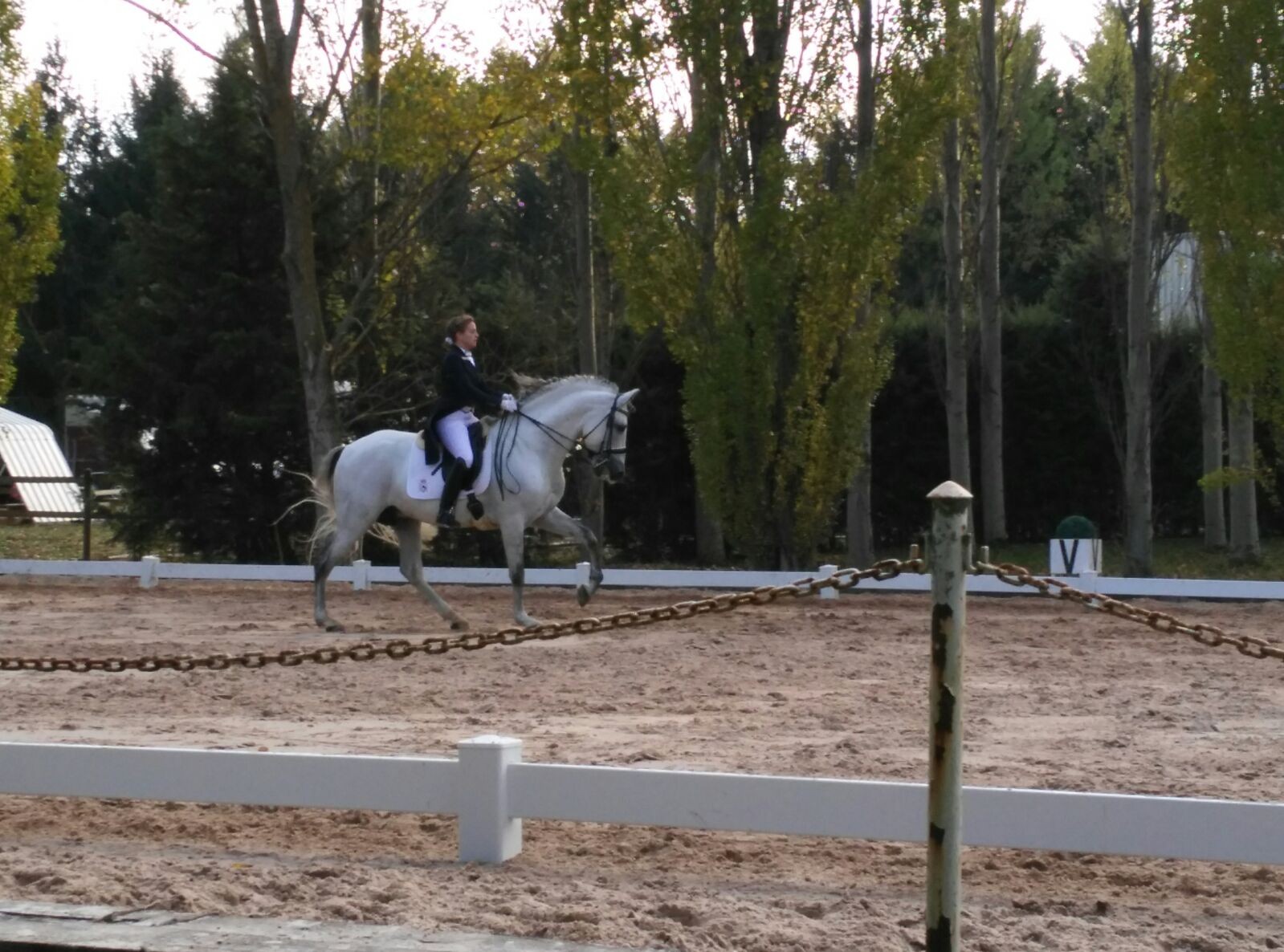 Resultados Finales Campeonato Navarro de Doma Clásica 2015